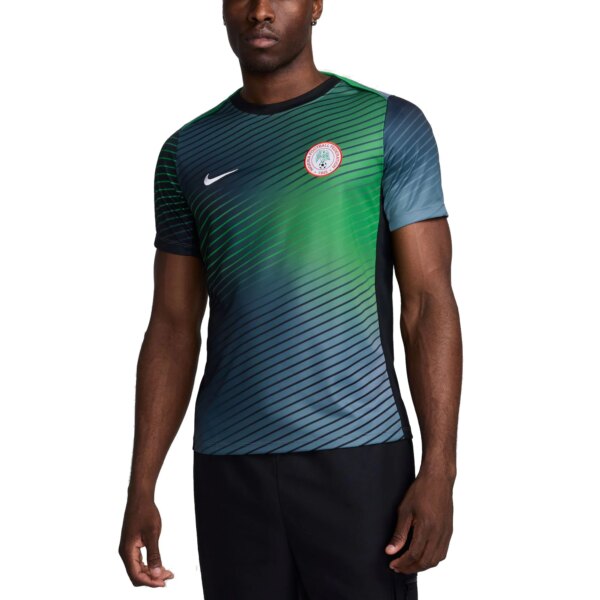 Nigeria National Team 2024 Academy Pro Pre-Match Top - Gray